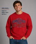 Connecticut Republican Unisex Crewneck Sweatshirt State Pride Political Pullover Red 2026